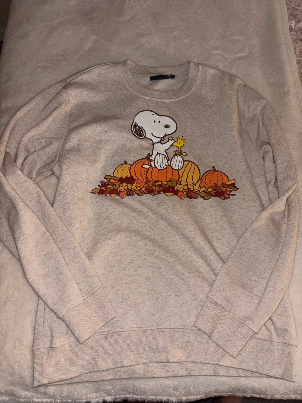Peanuts Light Gray Crewneck with Snoopy & Pumpkins